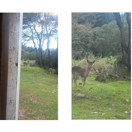 Vila La Baia Porto Conte Exteriér fotografie